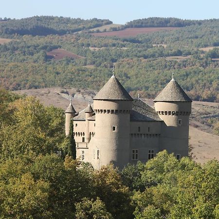Chateau De Lugagnac Rivière-sur-Tarn Esterno foto